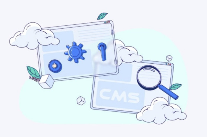 سیستم‌های مدیریت محتوا (CMS) یا کدنویسی اختصاصی؟ کدام بهتر است؟