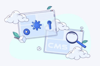 سیستم‌های مدیریت محتوا (CMS) یا کدنویسی اختصاصی؟ کدام بهتر است؟